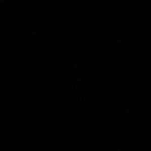 Meet your Posher, Bryson